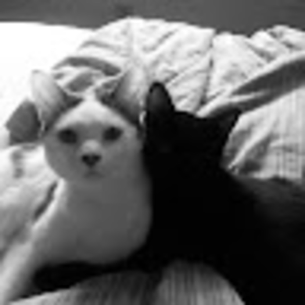 Meet your Posher, Kevin